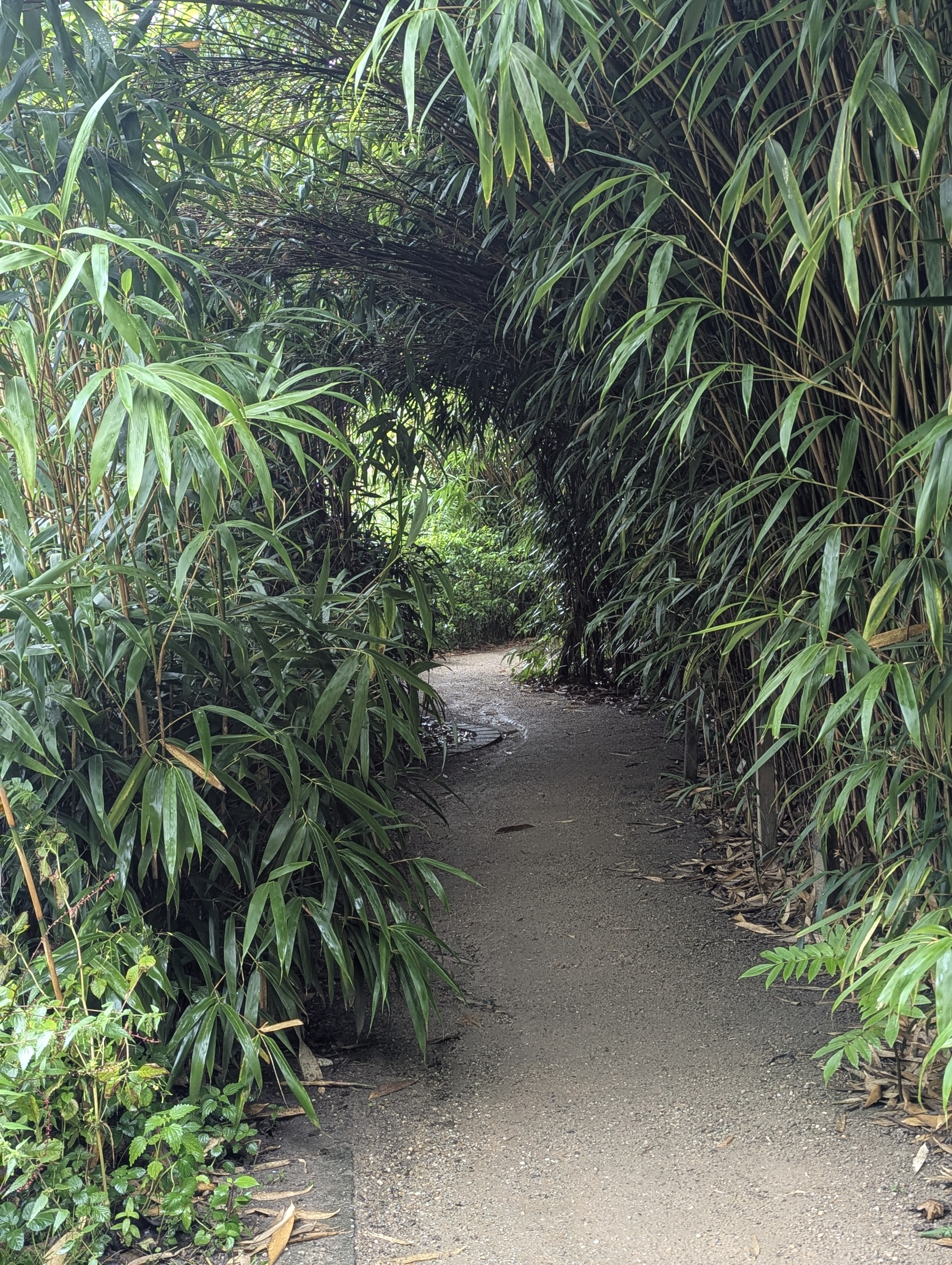 Botonic Gardens, Muenster, Germany